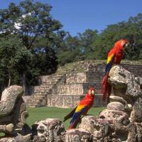 Ruinas mayas de Copán en Guatelama