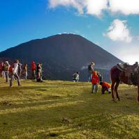 Volcán de Pacaya en Guatemala | Turismo y visitas