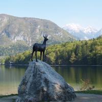 Lago Bohinj en Eslovenia | Turismo de naturaleza