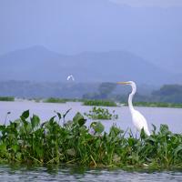 Lago Suchitlan en el Salvador | Humedal del Cerrón Grande