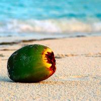 Playa Punta Maroma | El paraíso soñado