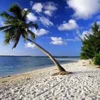 Isla de Utila en Honduras | Perfecta para el buceo