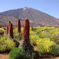 El Teide en Tenerife | Pico más alto de España