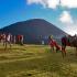  Volcán de Pacaya