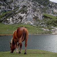 Lagos de Covadonga en Asturias | Precioso paisaje en el norte