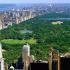 Central Park, el corazón de Manhattan