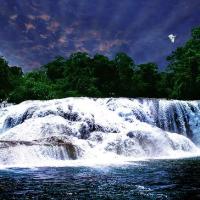 Cascadas de Agua Azul - Imágenes de las cataratas de Agua Azul en Chiapas