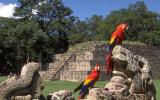 Ruinas mayas de Copán en Guatelama