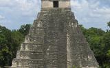 Tikal | Las ruinas mayas en Guatemala