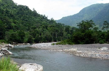 Parque Nacional de Pico Bonito