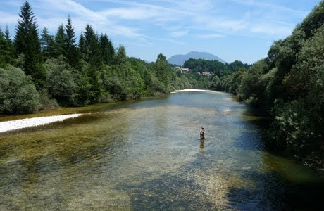 Río Sava para pesca